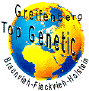 Greifneberg