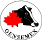 Gensemex