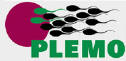 Plemo